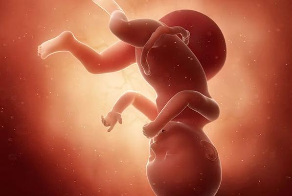 Preterm delivery prior to the ninth month